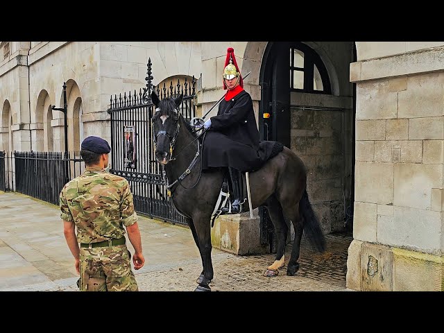 IS THE BOX HAUNTED? Calm TROOPER settles UNHAPPY horse during a minor meltdown at Horse Guards!