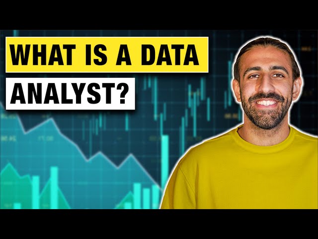 What is a Data Analyst? A 2024 Beginner's Guide