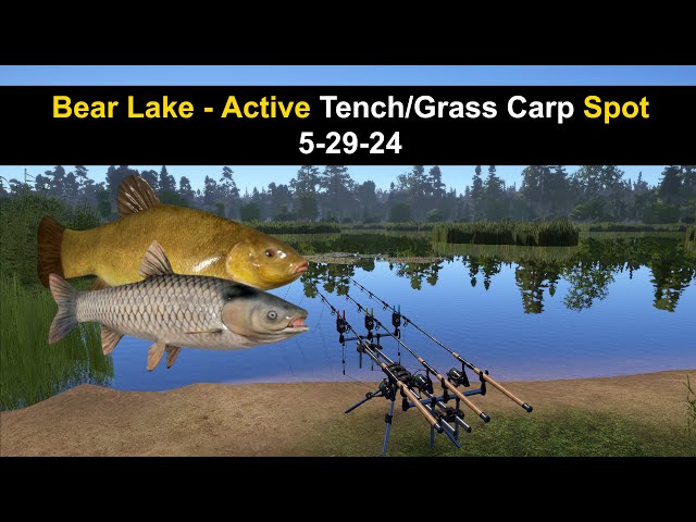 Russian Fishing 4, Bear Lake - Active Tench/Grass Carp Spot 5-29-24
