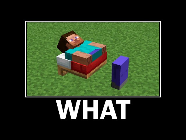 WAIT WHAT - Minecraft #11