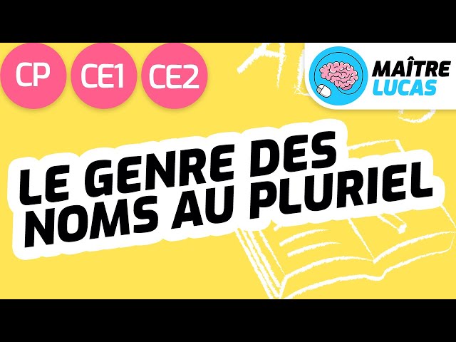 Le genre des noms au pluriel CP - CE1 - Cycle 2 - Français : étude de la langue, Grammaire