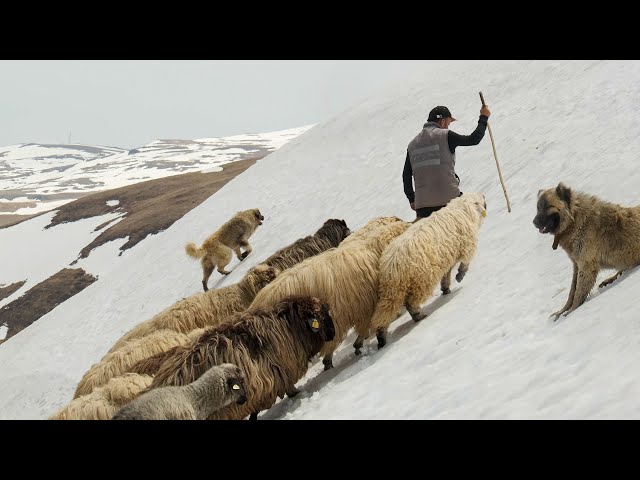Journey to the Peaks of Halkomas | Documentary