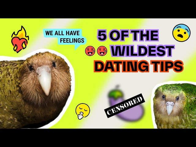 Dating Advice ft. Steve The Kakapo | Animals in Therapy | On the Edge
