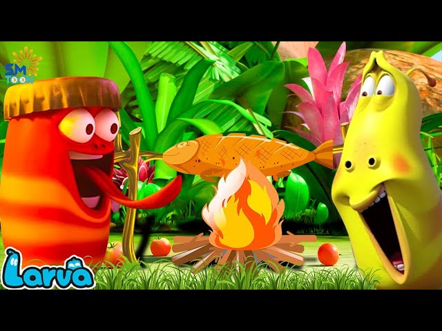 LARVA FULL EPISODE: GRILLED FISH | CARTOON MOVIES FOR LIFE | THE BEST OF FUNNY CARTOON