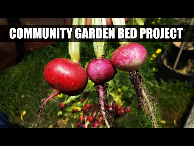 Worldwide Community Garden Bed Project - Phase 2