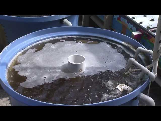 Purdue Aquaponics: Cut Water Usage