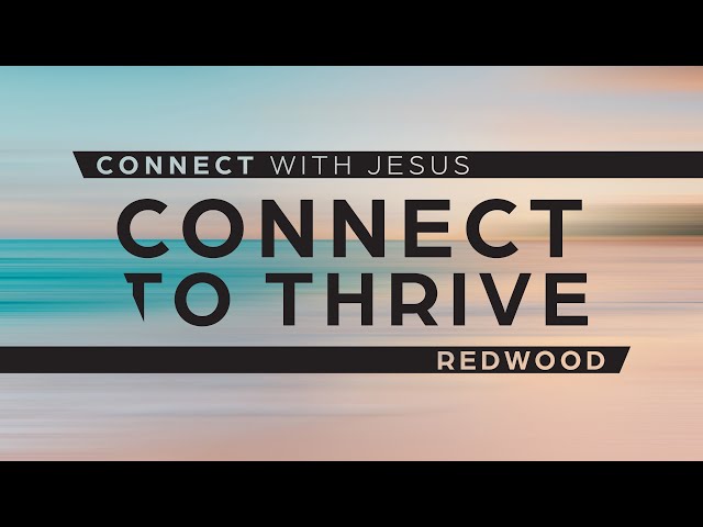 Connect to Thrive | Redwood Campus