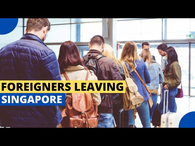 The Shocking Truth About Why Foreigners Are Leaving Singapore