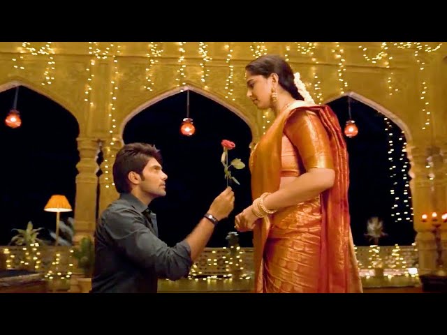 देखिये Arya ने Anushka Shetty को कैसे प्रोपोज़ किया |  Size Zero | Best Hindi Dubbed Romantic Scene