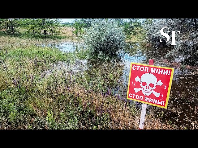 Landmines moved by Ukraine dam floodwaters pose new menace