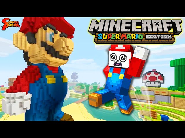 Minecraft Super Mario Adventure on Switch! Part 2!!