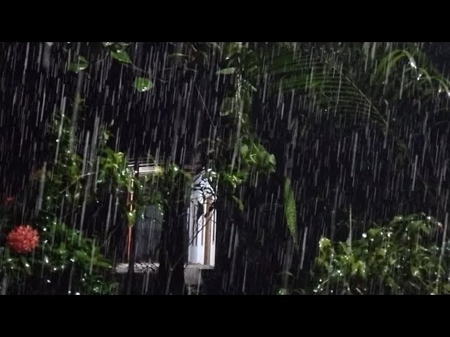 Rain Sounds For Sleeping - 99% Instantly Fall Asleep With Rain And Thunder Sound At Night Meditation