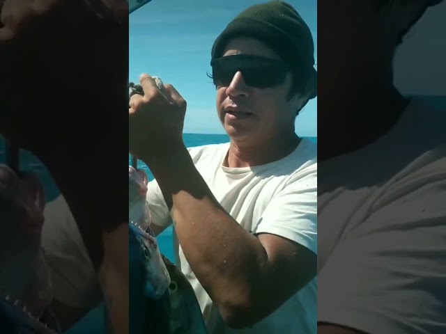 o cego pescador exibe sua pescaria em alto mar