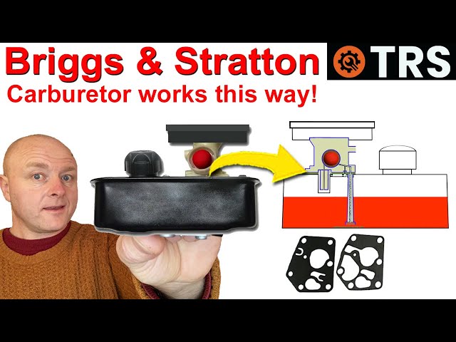 Briggs and Stratton Lawn Mower Carburetor & Diaphragm (How it Works)