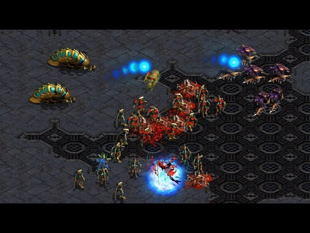 Snow! 🇰🇷 (P) vs Soma! 🇰🇷 (Z) on Circuit Breakers - StarCraft - Brood War