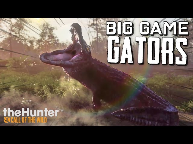 theHunter: Call of the Wild - Mississippi Acres Reserve GATOR HUNT - Gameplay Live Stream