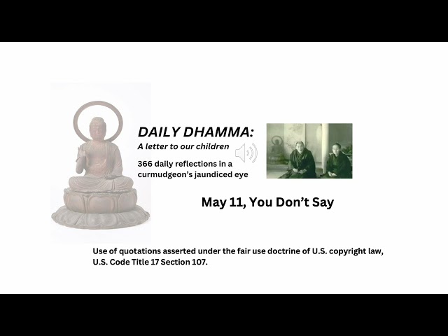 May 11, "You Don't Say" Daily Dhamma: A letter to our children