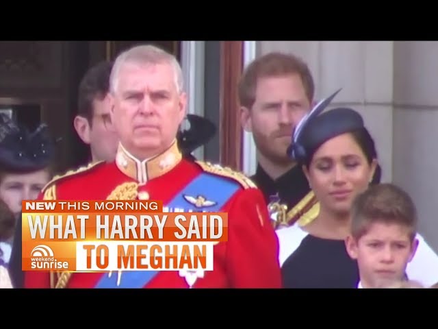 Did Prince Harry Tell Meghan Markle Off In Public? (2019)