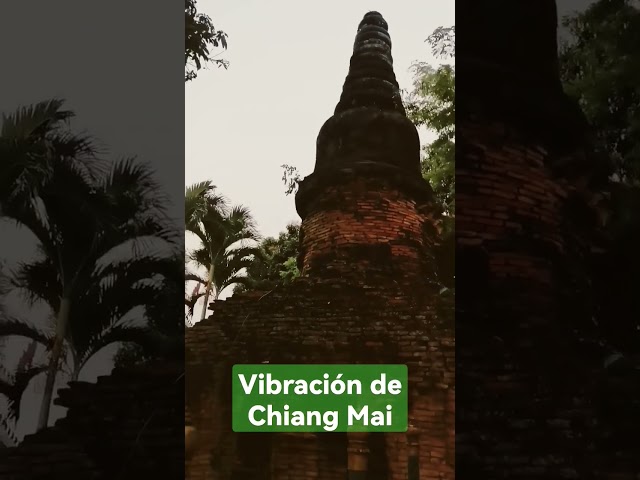 La vibración de Chiang Mai