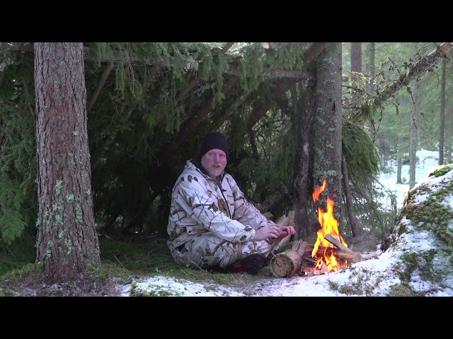 Nordic Wild Hunter season 2 is released Friday 4 March on MOTV!