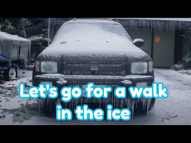 No Electricity, No Heat so lets Walk! Ice coated streets after freezing rain storm in Oregon.