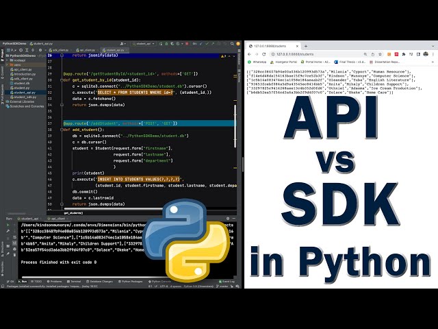SDK vs API in Python Example