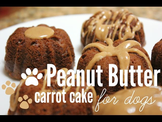 How to Make Peanut Butter Carrot Cake (for dogs) | rachel republic