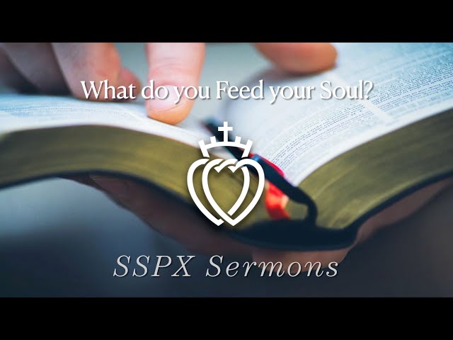 What do you Feed your Soul? - SSPX Sermons