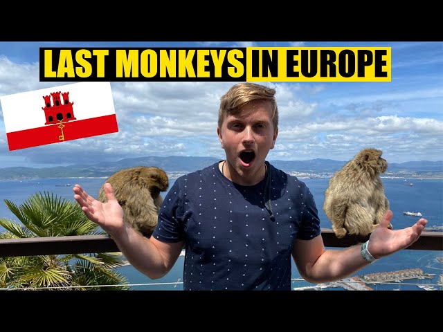 Hiking with MONKEYS in GIBRALTAR | 12 Hour Travel Guide