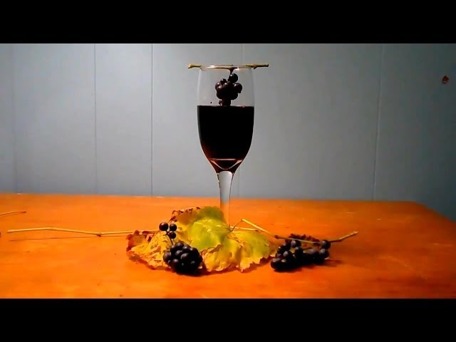 Wild Food Foraging- Wild Grape Juice