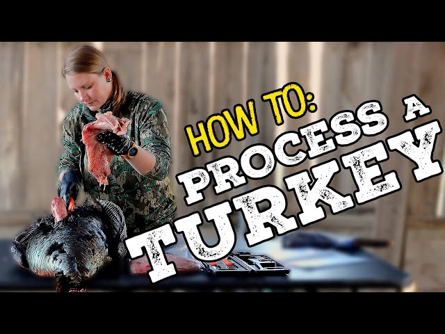 How To Process a Wild Turkey - With Becky Bloomfield