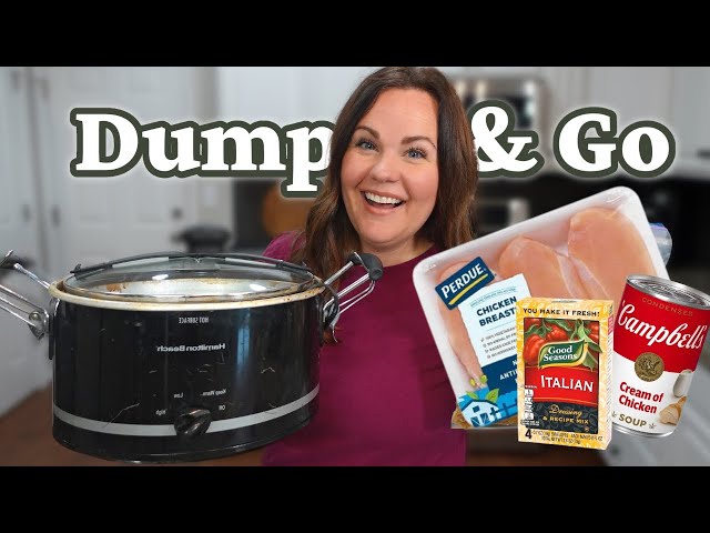 EASY DUMP AND GO SLOW COOKER DINNERS | FREEZER CROCK POT MEALS | FEEDING THE BYRDS
