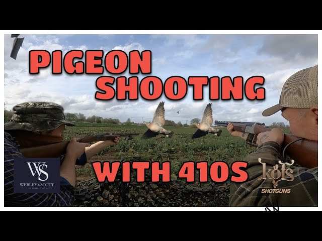 410 PIGEON SHOOTING ACTION PACKED