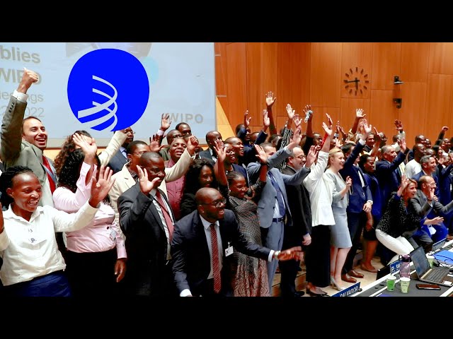 The WIPO Assemblies 2022 in 60 Seconds