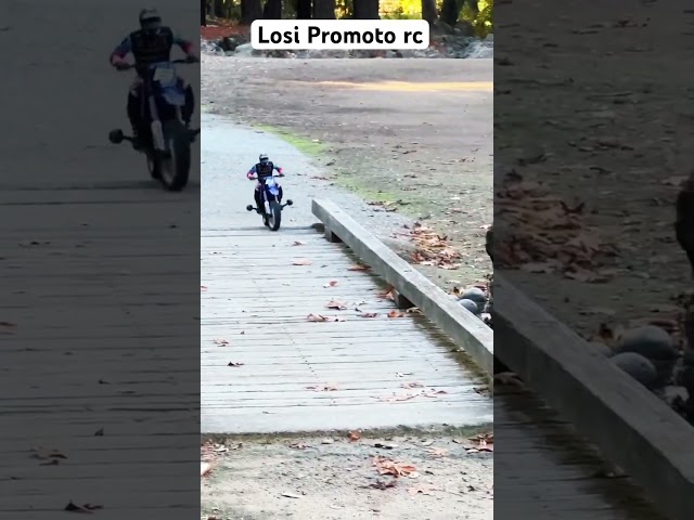 Losi RC Motorcycle Pro moto mx bumping, jumping and crashing! #losipromoto