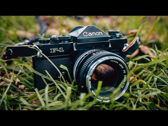 Roll of Kodak Ultramax 400 On Old Canon F1 - Not Again...