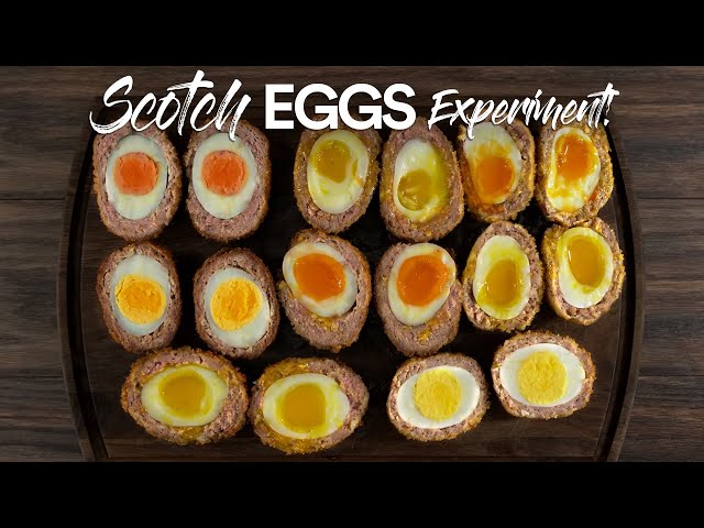 I cooked over 500 EGGS to make the PERFECT Scotch Egg!
