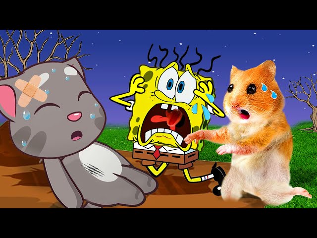 Please Don't Go! Tom And SpongeBob Rescue Hamster Got Bad Grades  | Life Of Pets HamHam