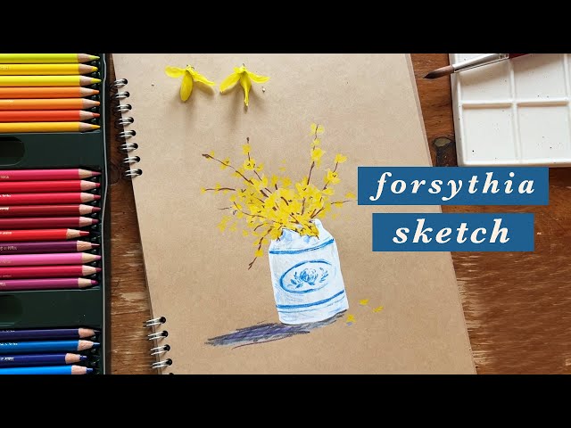 Sketching Spring Flowers with Colored Pencils