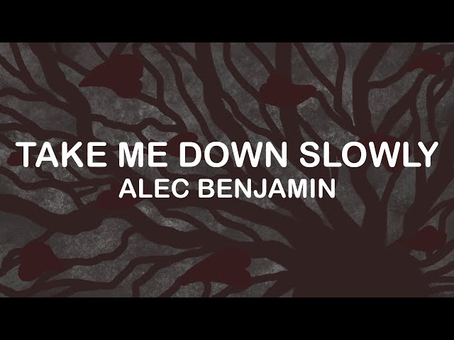 Alec Benjamin - Let Me Down Slowly (Lyrics / Lyric Video)