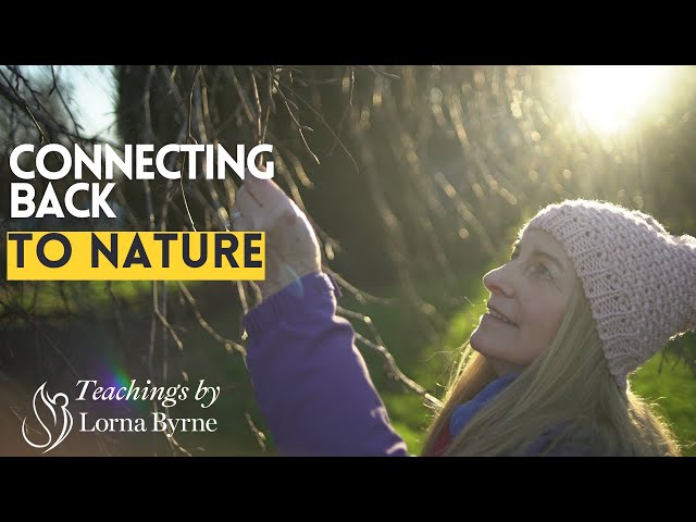 Connecting Back To Nature