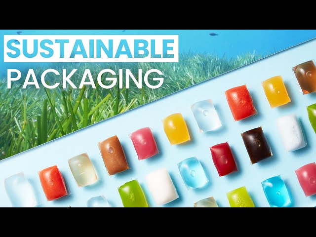 Seaweed to Replace Plastic | Edible & Biodegradable Packaging | Notpla