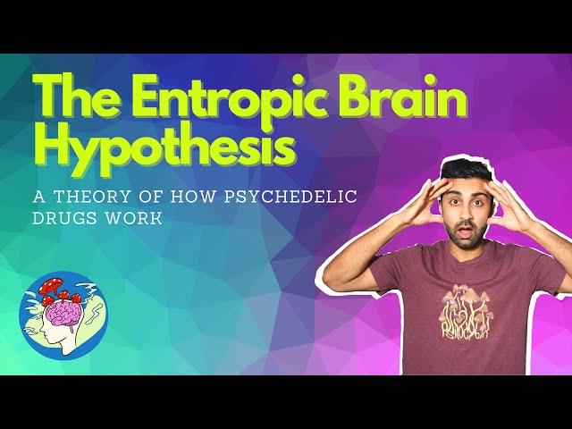 The Entropic Brain Hypothesis of How Psychedelics Work EXPLAINED | Dr. Robin Carhart-Harris's Theory