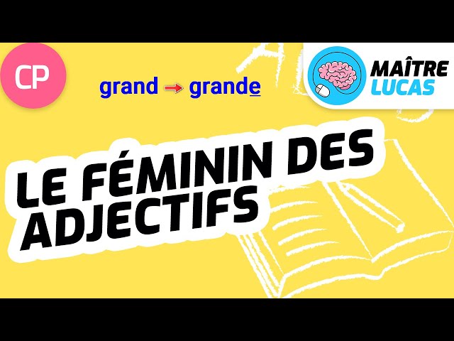 Le féminin des adjectifs CP - Cycle 2 - Français - Etude de la langue