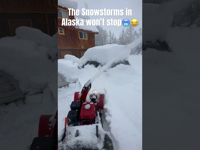 The Snowstorms in Alaska just won’t stop🥶😂 #alaska #snowstorm #blizzard
