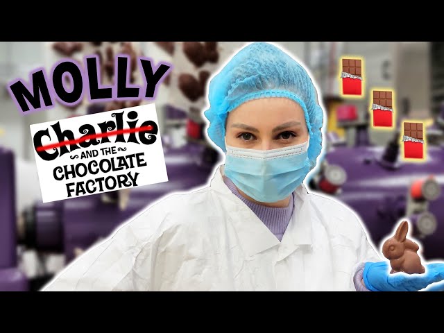 I Worked at a Chocolate Factory for a Day!