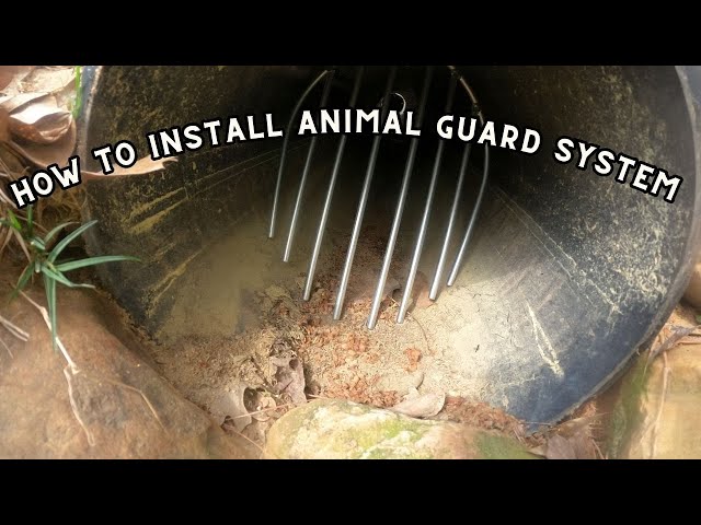 Installing animal guards in drainage pipes