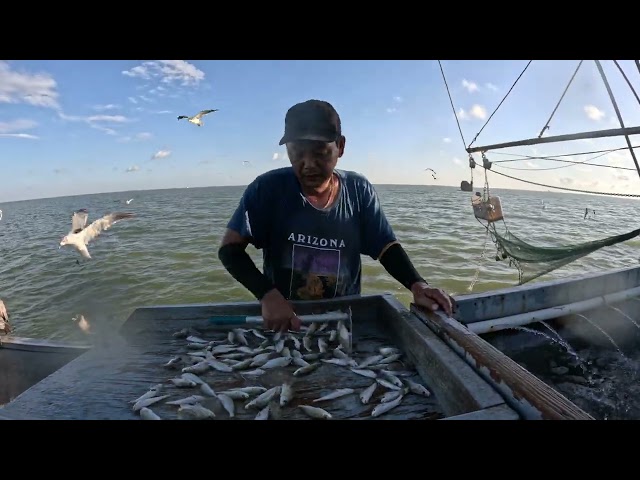 South Texas Shrimping #47 Tôm Nam Texas
