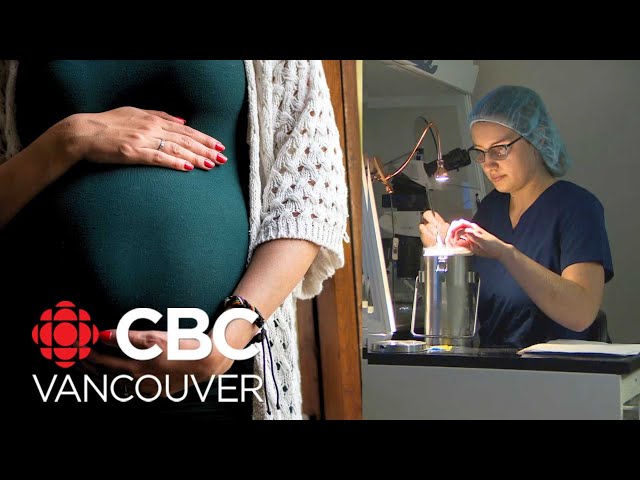 Why are more British Columbians freezing their eggs?