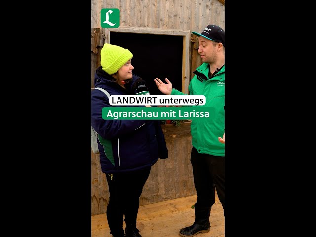 Wir haben bei der Agrarschau Allgäu die Larissa getroffen #shorts
